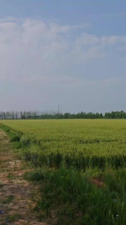 wx camera 1746232849727