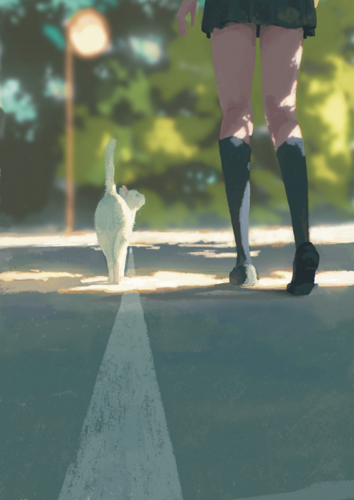 BXFb.png