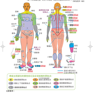 RlcU